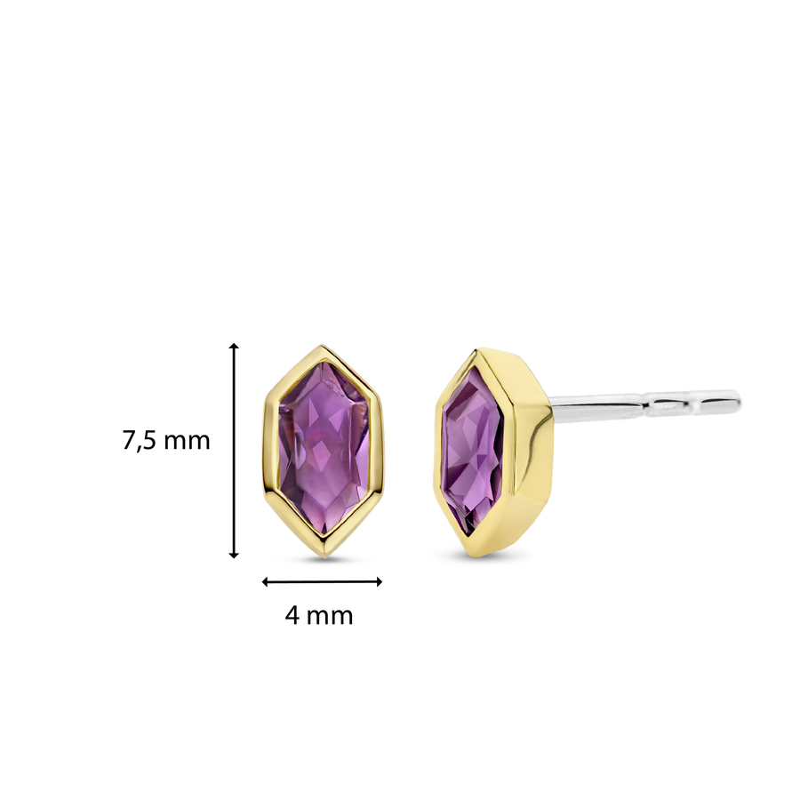 TI SENTO Boucles d'oreilles 7944PU